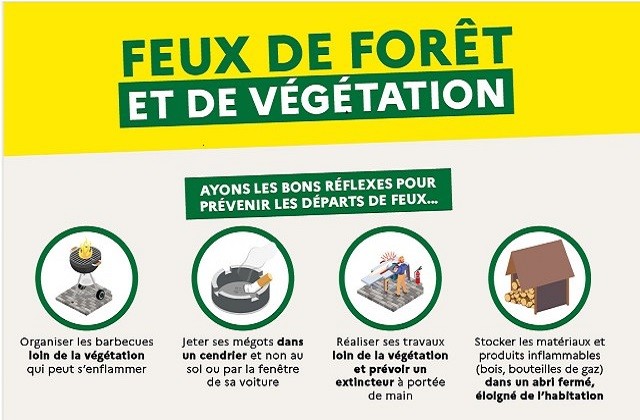 Feu de forêt : une nouvelle loi promulgée début juillet