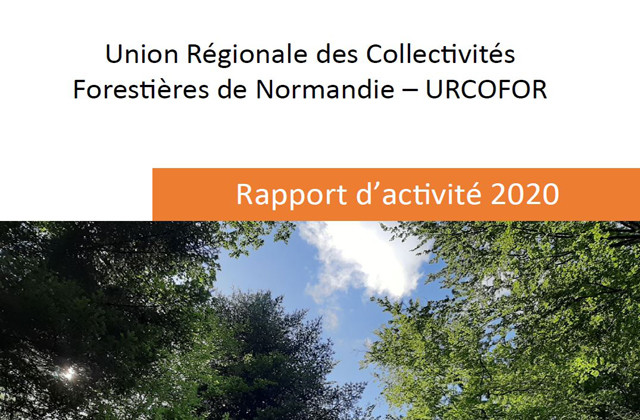 Le rapport d'activité 2020 est disponible en ligne