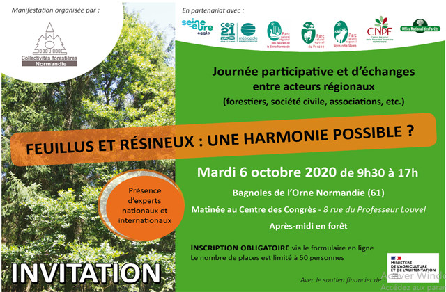 Feuillus et Résineux : une harmonie possible ? Journée d'échanges en forêt normande