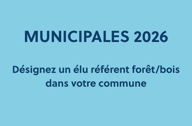 Désignez un élu référent forêt/bois dans votre commune 