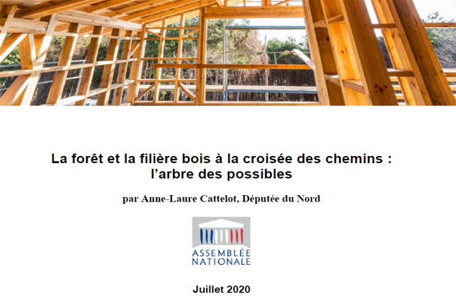 Remise officielle du rapport sur la forêt et la filière bois de la Députée AL. Cattelot au Ministre Denormandie