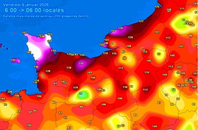 Conséquences des épisodes caniculaires sur les forêts du Nord-Ouest