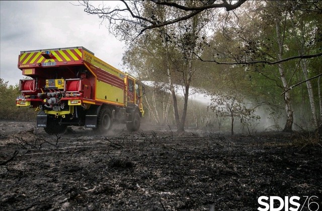 Risque feu de forêt sévère en cette période de canicule : les arrêtés préfectoraux