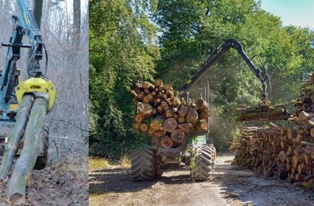 Un chantier forestier sur votre commune ? Découvrez le "Protocole chantier forestier" pour dialoguer avec les professionnels