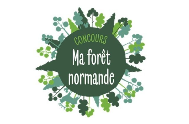 Concours Ma forêt normande : une opportunité pour valoriser sa forêt en Normandie
