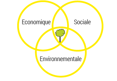 Developpement durable forêt