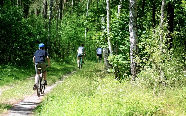 Social, balade en forêt