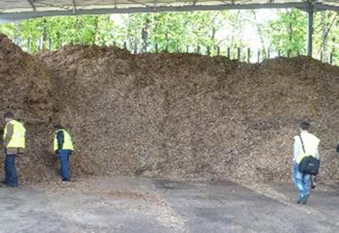 Fonction économique de la forêt