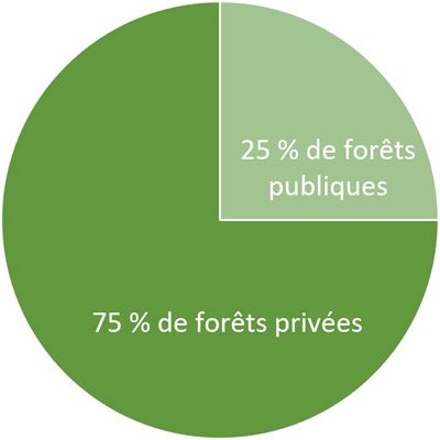 Graphique forêt publiques/privées