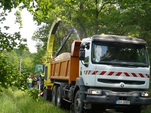 Photo filière forêt bois 