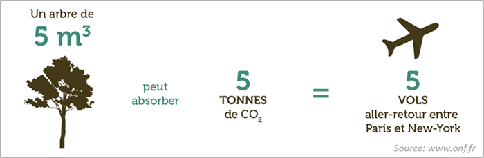 Infographie de l'ONF