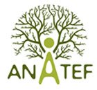 Anatef